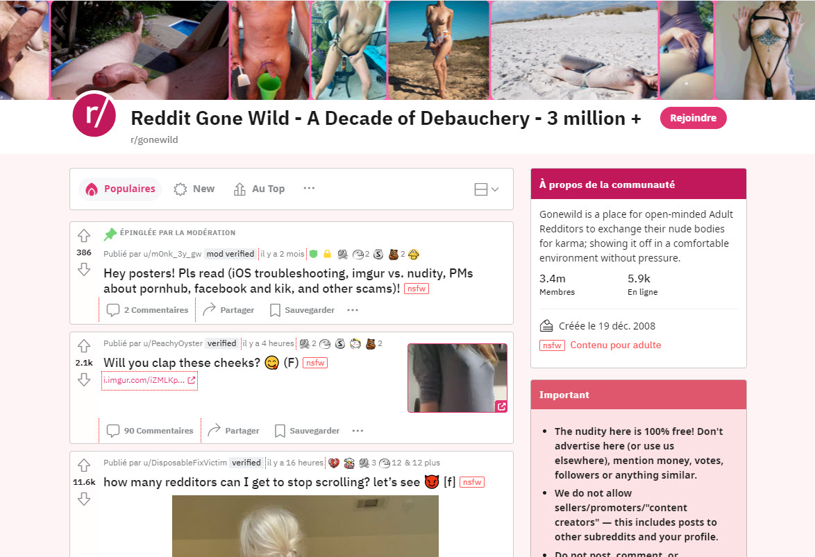 Reddit Gone Wild Review in Best NSFW Sub-Reddits picture