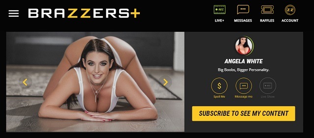 Brazzers Plus Review Image