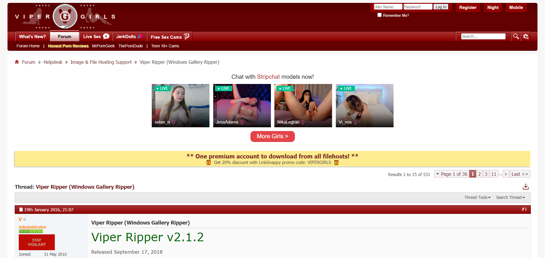 ViperGirls Review Image