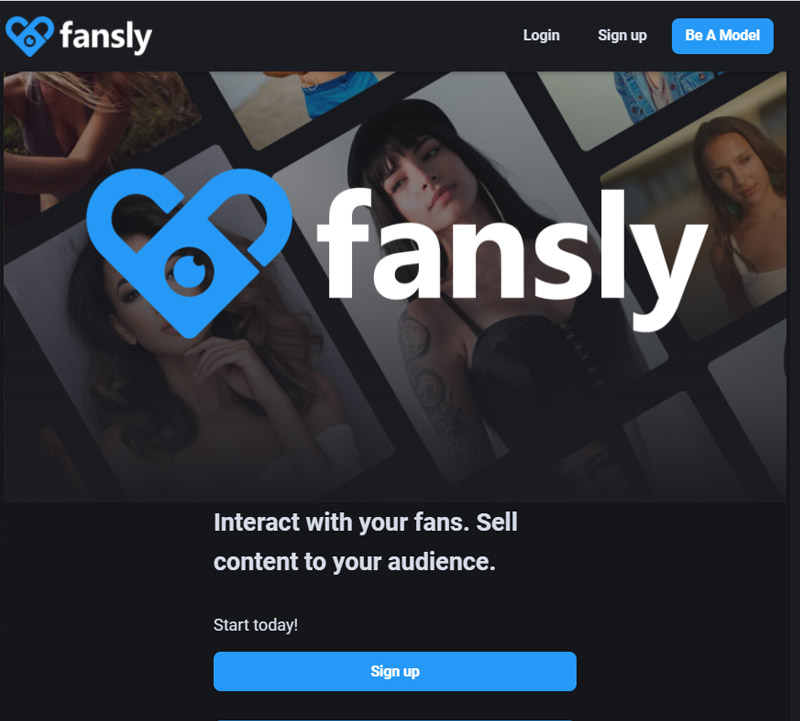 Fansly Review Image